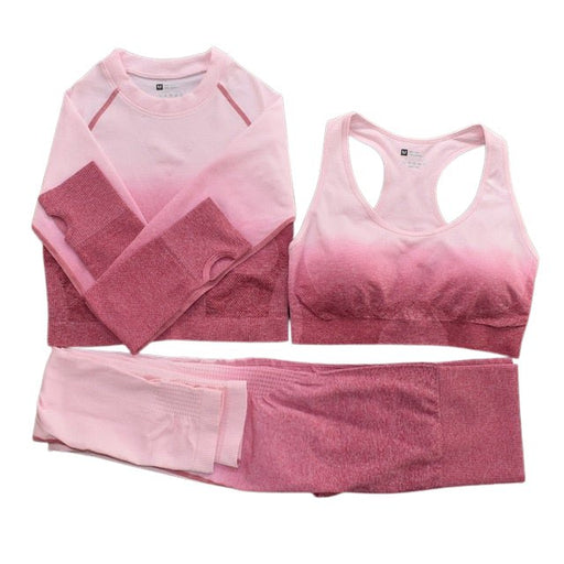 Seamless Ombre Complete Gym Set - Flamin' Fitness